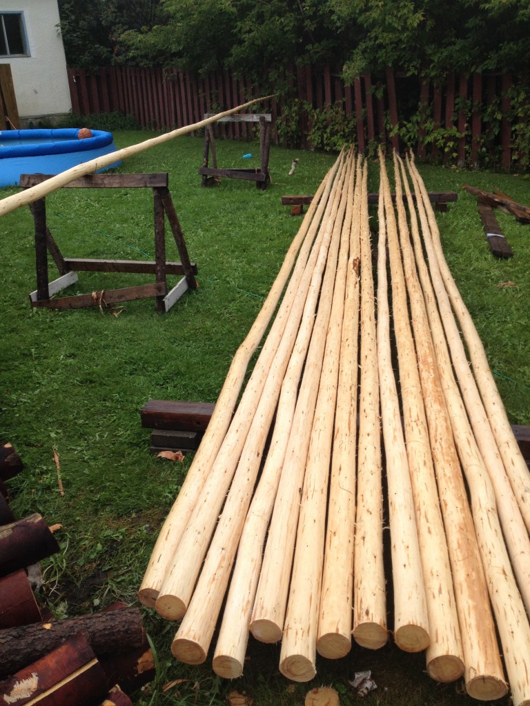 Picture of peeled & treated teepee poles